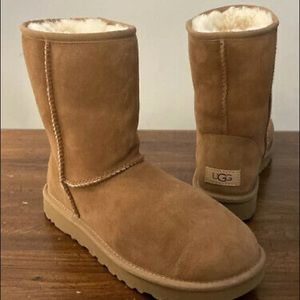 Short Ugg Classic Short II Chestnut Booties